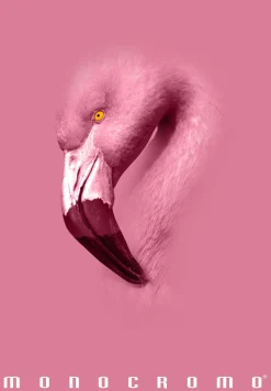 PIGNA - QUADERNO MAXI MONOCROMO PINK 38 FOGLI A4 QUADRETTI ASS.: vendita online PIGNA - QUADERNO MAXI MONOCROMO PINK 38 FOGLI A4 QUADRETTI ASS. in offerta