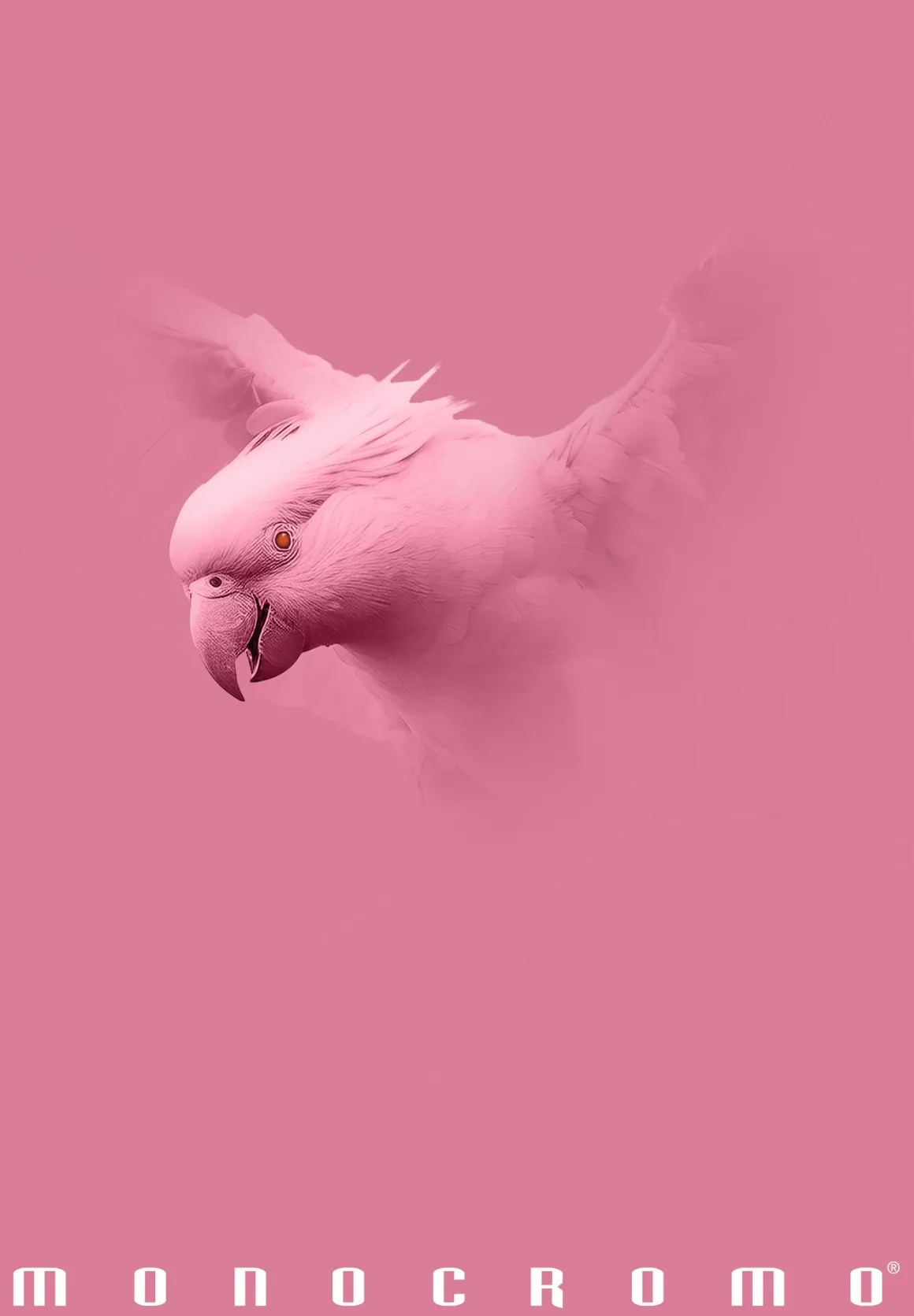 PIGNA - QUADERNO MAXI MONOCROMO PINK 38 FOGLI A4 QUADRETTI ASS.: vendita online PIGNA - QUADERNO MAXI MONOCROMO PINK 38 FOGLI A4 QUADRETTI ASS. in offerta