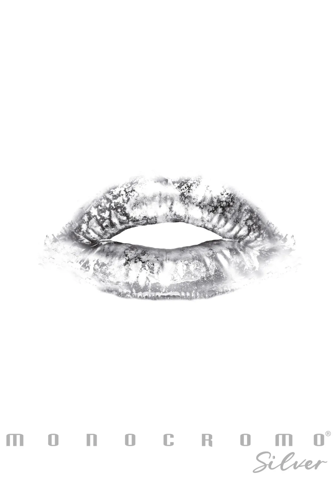 PIGNA - QUADERNO MAXI MONOCROMO SILVER A4 38 FOGLI QUADRETTI 1a 2a 3a elem. ASS.: vendita online PIGNA - QUADERNO MAXI MONOCROMO SILVER A4 38 FOGLI QUADRETTI 1a 2a 3a elem. ASS. in offerta