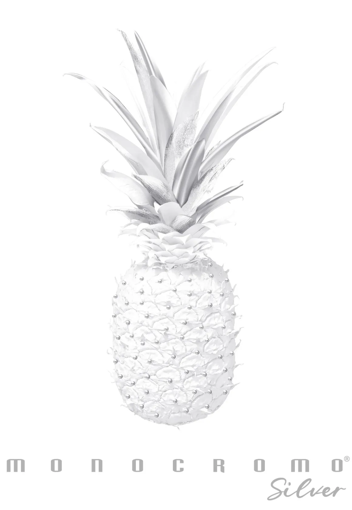 PIGNA - QUADERNO MAXI MONOCROMO SILVER A4 38 FOGLI QUADRETTI 1a 2a 3a elem. ASS.: vendita online PIGNA - QUADERNO MAXI MONOCROMO SILVER A4 38 FOGLI QUADRETTI 1a 2a 3a elem. ASS. in offerta