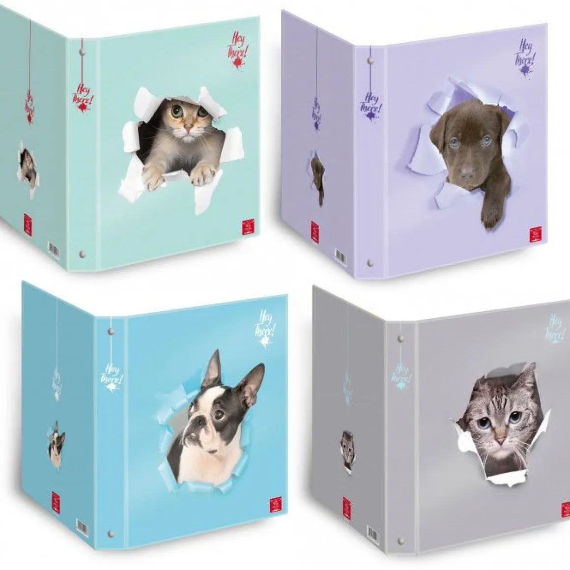 PIGNA - RACCOGLITORE AD ANELLI HEY THERE A4 ASSORTITO: vendita online PIGNA - RACCOGLITORE AD ANELLI HEY THERE A4 ASSORTITO in offerta