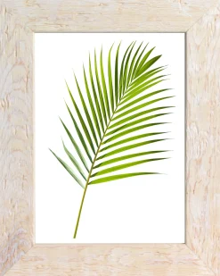 PORTAFOTO WARREN IN LEGNO E CRILEX BIANCO 13X18CM: vendita online PORTAFOTO WARREN IN LEGNO E CRILEX BIANCO 13X18CM in offerta