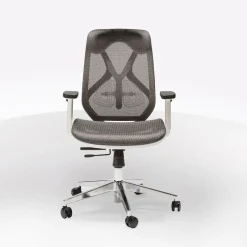 SEDIA DAFNE PLUS L WHITE GRIGIO E BIANCA: vendita online SEDIA DAFNE PLUS L WHITE GRIGIO E BIANCA in offerta