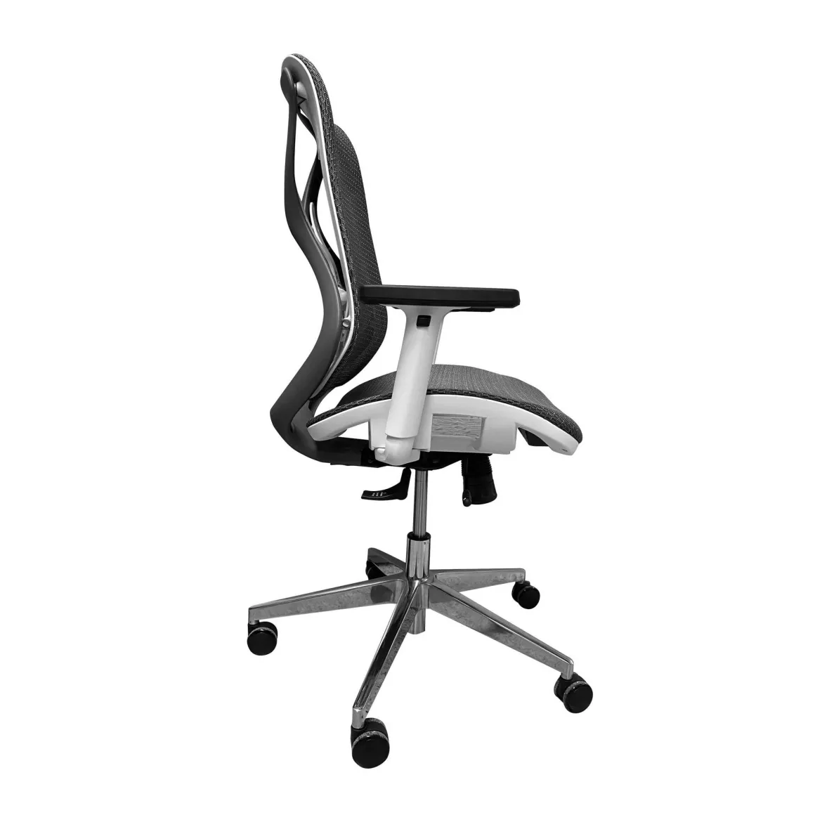 SEDIA DAFNE PLUS L WHITE GRIGIO E BIANCA: vendita online SEDIA DAFNE PLUS L WHITE GRIGIO E BIANCA in offerta