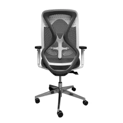 SEDIA DAFNE PLUS L WHITE GRIGIO E BIANCA: vendita online SEDIA DAFNE PLUS L WHITE GRIGIO E BIANCA in offerta