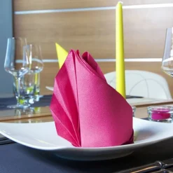 SET 20 TOVAGLIOLI ROYAL 25X25CM FUXIA: vendita online SET 20 TOVAGLIOLI ROYAL 25X25CM FUXIA in offerta