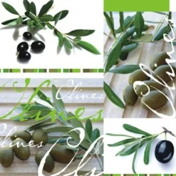SET 20 TOVAGLIOLI 33X33CM DESIGN OLIVERS: vendita online SET 20 TOVAGLIOLI 33X33CM DESIGN OLIVERS in offerta