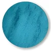 SET 2 CLIPS AMBRA COLORE AZZURRO: vendita online SET 2 CLIPS AMBRA COLORE AZZURRO in offerta