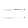 SET 2 COLTELLI DA TAVOLA LINEA DINAMICA 23.5CM