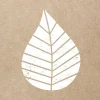 SET 20 TOVAGLIOLI 33X33CM NATURALE GRAPHIC LEAVES: vendita online SET 20 TOVAGLIOLI 33X33CM NATURALE GRAPHIC LEAVES in offerta