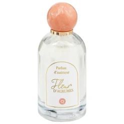 SPRAY PER AMBIENTE WILD ROMANCE 100ML ASSORTITO: vendita online SPRAY PER AMBIENTE WILD ROMANCE 100ML ASSORTITO in offerta