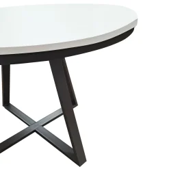 TAVOLO ALL. DIAM. 120 NERO E BIANCO FRASSINATO: vendita online TAVOLO ALL. DIAM. 120 NERO E BIANCO FRASSINATO in offerta