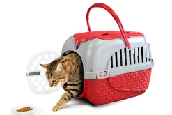 TRASPORTINO MODELLO TOUR BORDEAUX 52X33 H. 34CM: vendita online TRASPORTINO MODELLO TOUR BORDEAUX 52X33 H. 34CM in offerta