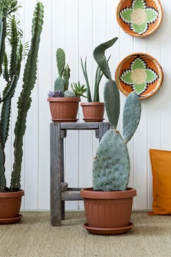 vaso terra diametro 60cm colore terracotta