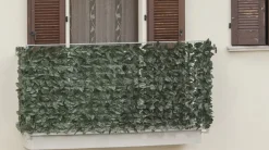 Vendita online di ARELLA SEMPREVERDE LAURO POINT 1X3MT