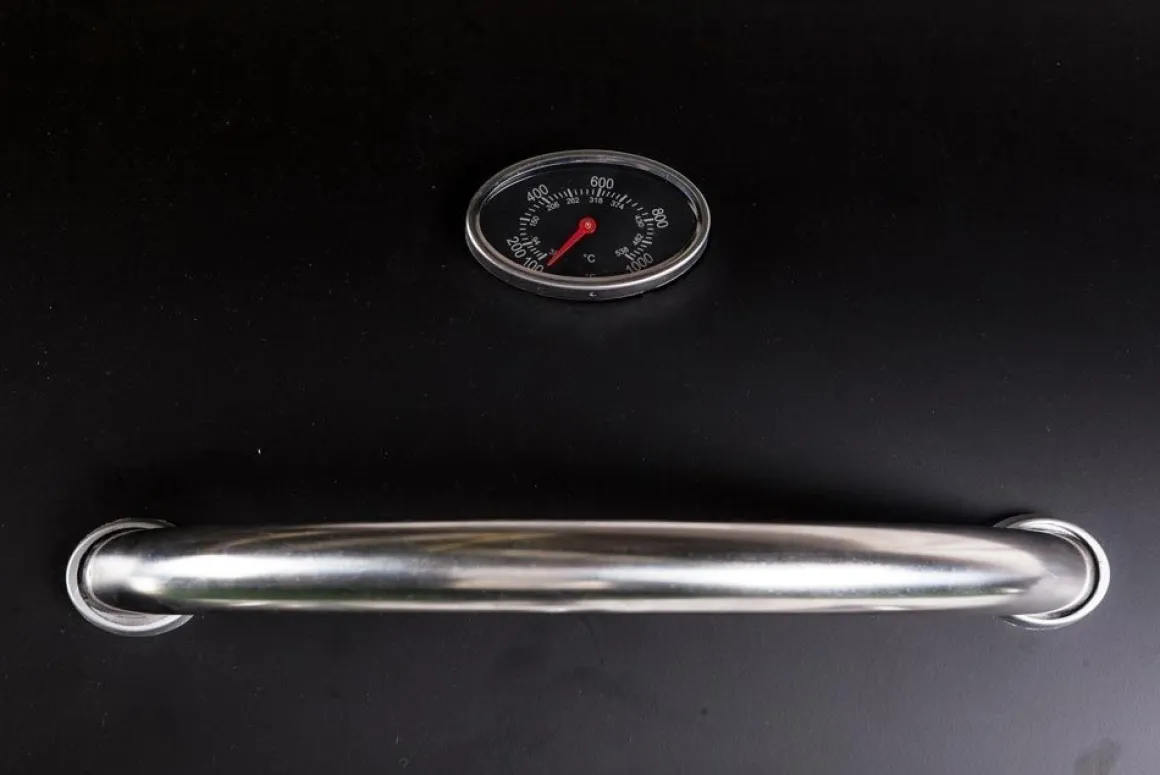 Vendita online di BARBECUE A GAS STYLE 3 CON 3 FUOCHI