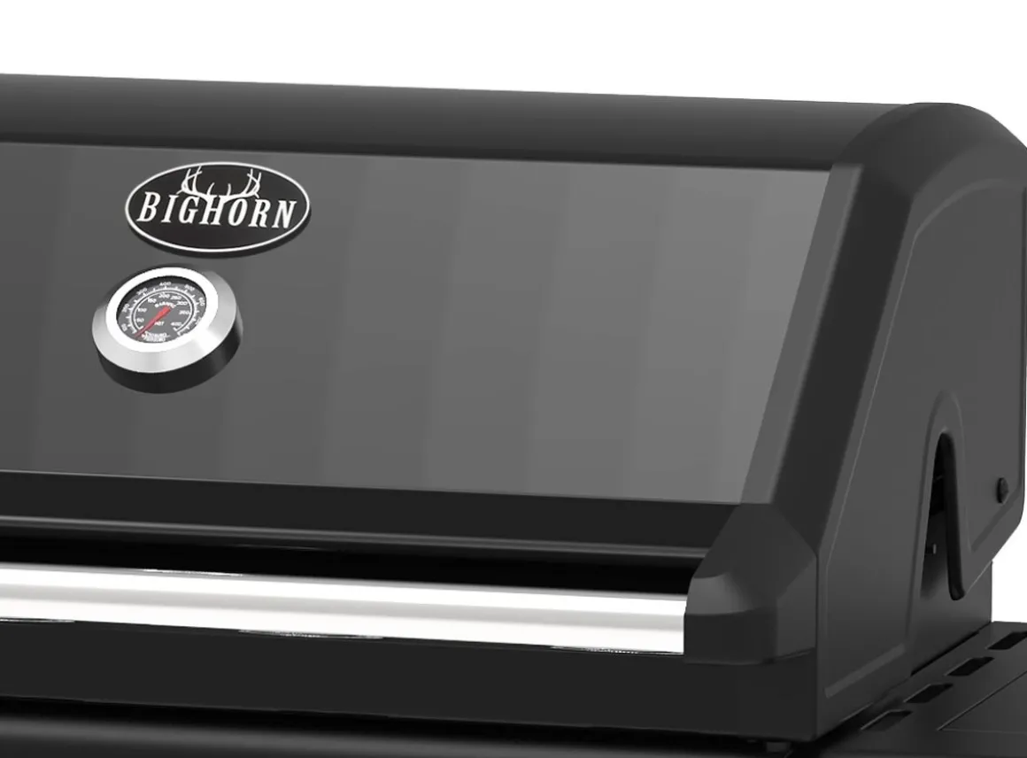 Vendita online di BARBECUE A GAS BIGHORN CON 4+1 FUOCHI