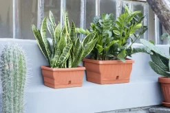 Vendita online di FIORIERA NATURA 60X29X26CM TERRACOTTA