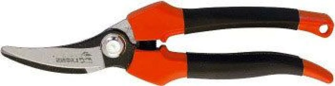 Vendita online di FORBICE COGLIUVA ACCIAIO 175MM