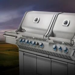 Vendita online di NAPOLEON - BARBECUE DOPPIA CAPPA A GAS PRESTIGE PRO 825 RSBI 10 FUOCHI