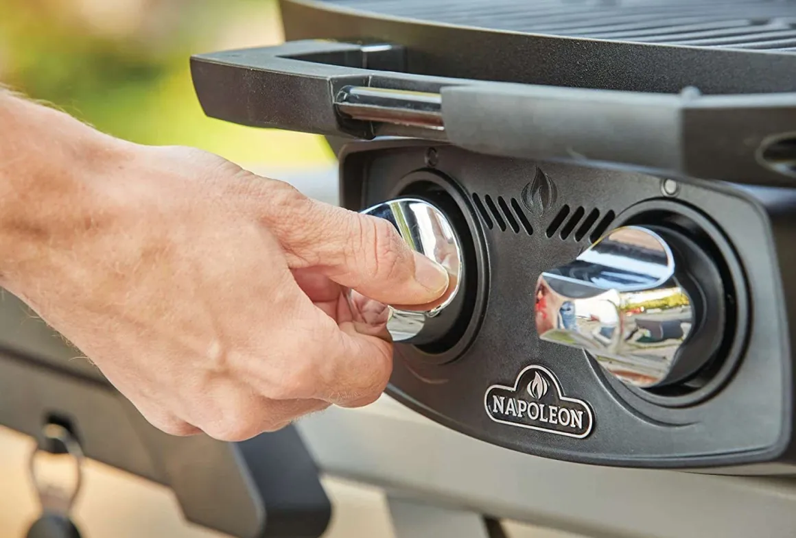 Vendita online di NAPOLEON - BARBECUE A GAS PIEGHEVOLE TRAVELQ PRO285X CON 2 FUOCHI