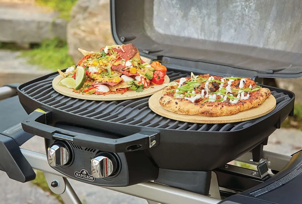 Vendita online di NAPOLEON - BARBECUE A GAS PIEGHEVOLE TRAVELQ PRO285X CON 2 FUOCHI