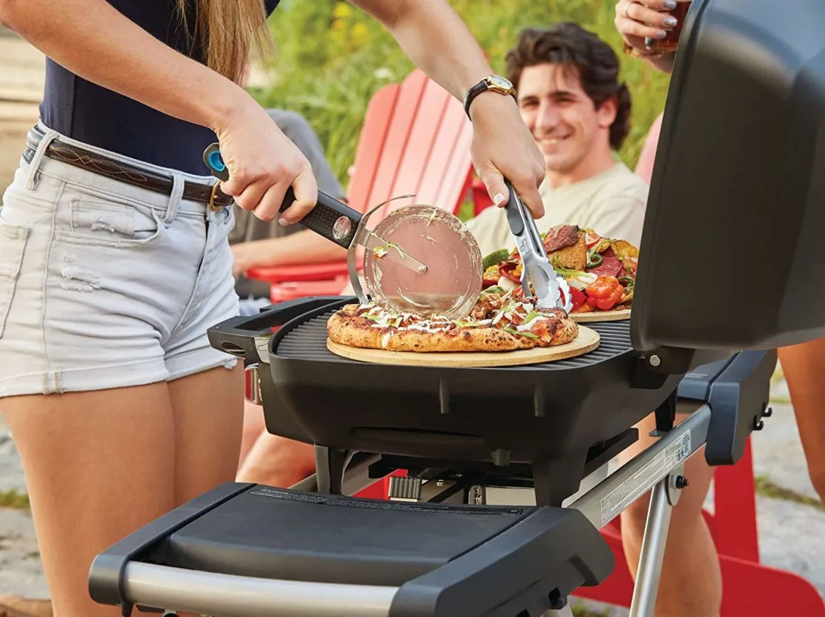Vendita online di NAPOLEON - BARBECUE A GAS PIEGHEVOLE TRAVELQ PRO285X CON 2 FUOCHI