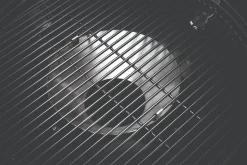 Vendita online di NAPOLEON - BARBECUE A CARBONELLA PRO22K