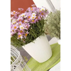 Vendita online di PORTAVASO PAGLIA DIAM. 19 PANNA