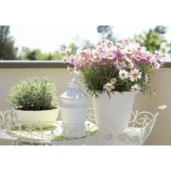Vendita online di PORTAVASO PAGLIA DIAM. 19 PANNA