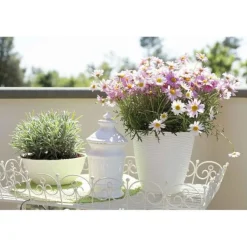 Vendita online di PORTAVASO PAGLIA DIAM. 24 PANNA