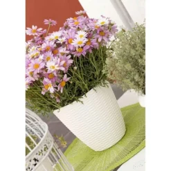 Vendita online di PORTAVASO PAGLIA DIAM. 29 PANNA