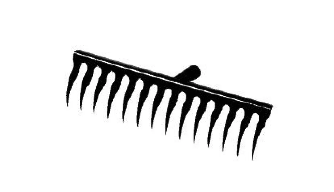 Vendita online di RASTRELLO SARCHIATORE A 14 DENTI CON MANICO IN LEGNO NATURALE