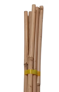 Vendita online di SET 5 CANNE IN BAMBOO H 210CM DIAM. 18/20MM