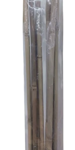 Vendita online di SET 10 CANNETTE IN BAMBOO H 180CM DIAM. 12/14MM