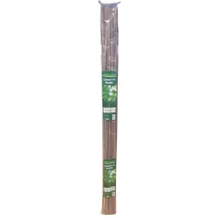 Vendita online di SET 20 CANNETTE IN BAMBOO H 120CM DIAM. 8/10MM