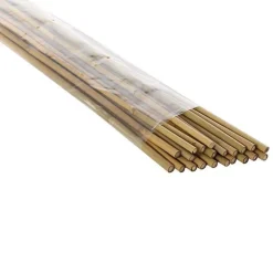Vendita online di SET 10 CANNETTE IN BAMBOO H 150CM DIAM. 10/12MM