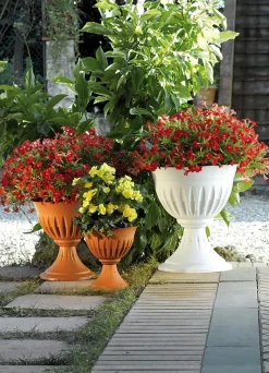 Vendita online di VASO A CALICE MODELLO ALBA DIAM. 43 TERRACOTTA