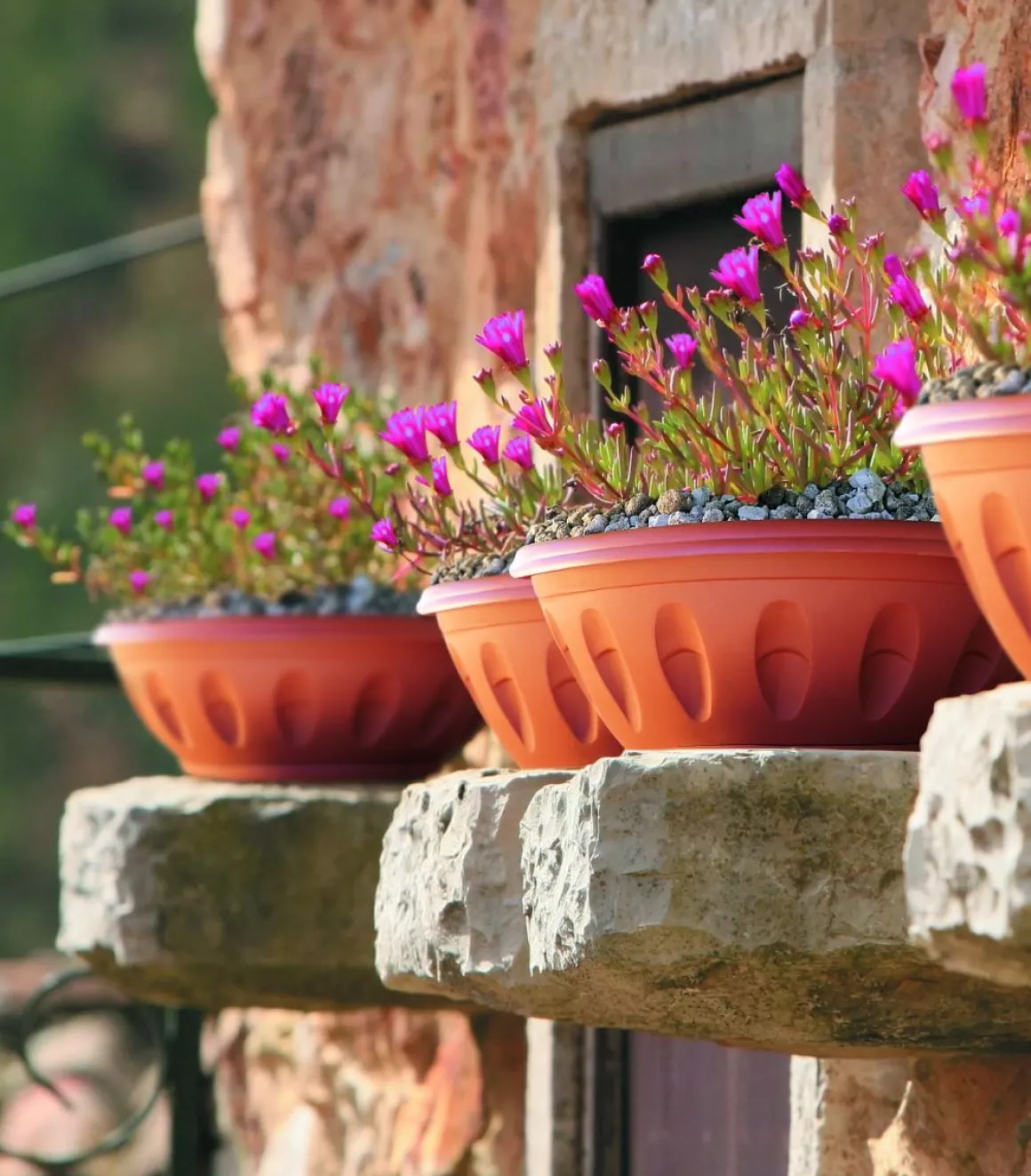 Vendita online di VASO ALBA DIAM. 40 TERRACOTTA