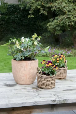 Vendita online di VASO EGG POT DIAM. 40 H. 33CM