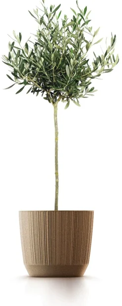 Vendita online di VASO RYFO ECO WOOD ECO COFFEE DIAM. 10,7 H. 9,1