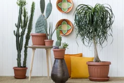 Vendita online di VASO TERRA DIAM. 25 TERRACOTTA