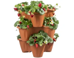 Vendita online di VASO TRIFOGLIO: SET 3 VASI + SOTTOVASO COLOR TERRACOTTA