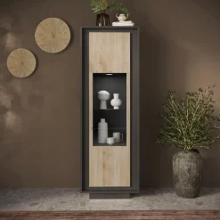 VETRINA SKY 1 ANTA LAVA/CADIZ in vendita online