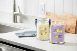 YANKEE CANDLE - GIARA GRANDE 2 STOPPINI ICED BERRY LEMONADE: vendita online YANKEE CANDLE - GIARA GRANDE 2 STOPPINI ICED BERRY LEMONADE in offerta