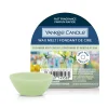 YANKEE CANDLE - TART DI CERA DA FONDERE CUCUMBER MINT COOLER: vendita online YANKEE CANDLE - TART DI CERA DA FONDERE CUCUMBER MINT COOLER in offerta