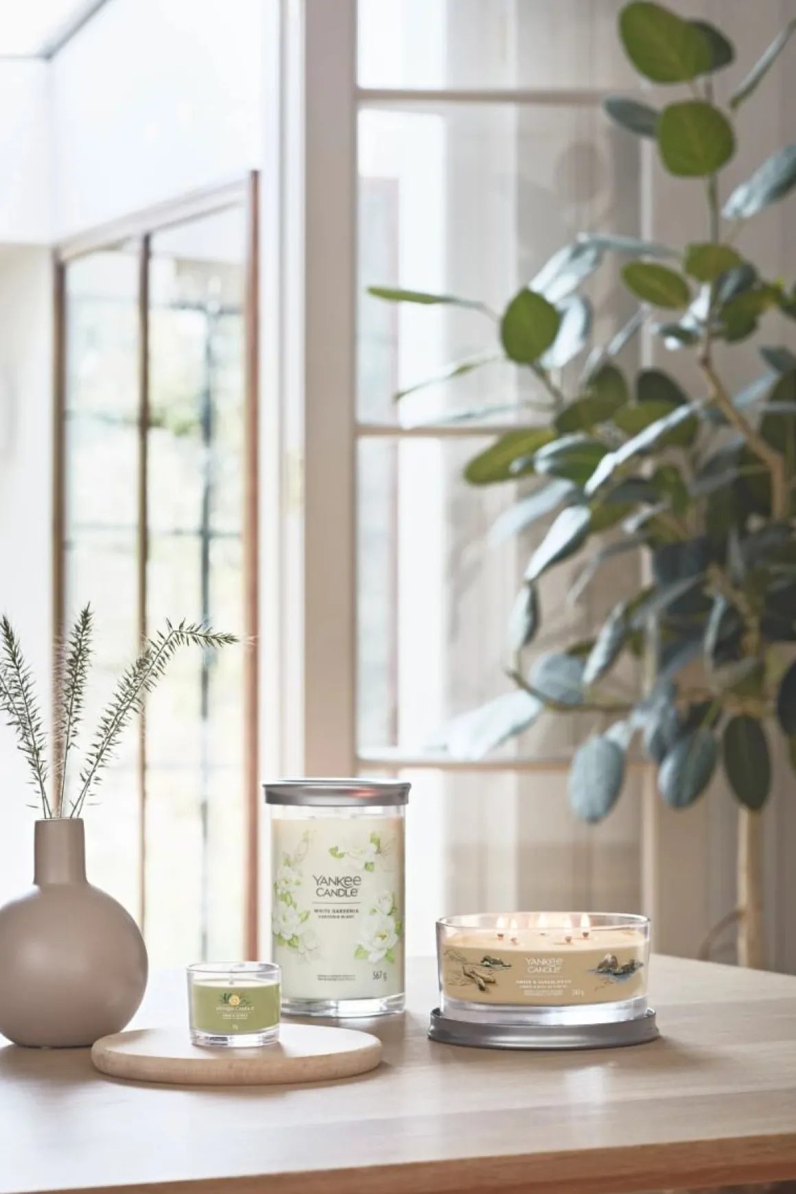 YANKEE CANDLE - CANDELA VOTIVE IN VETRO SAGE AND CITRUS: vendita online YANKEE CANDLE - CANDELA VOTIVE IN VETRO SAGE AND CITRUS in offerta