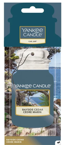 YANKEE CANDLE - CAR JAR BAYSIDE CEDAR: vendita online YANKEE CANDLE - CAR JAR BAYSIDE CEDAR in offerta