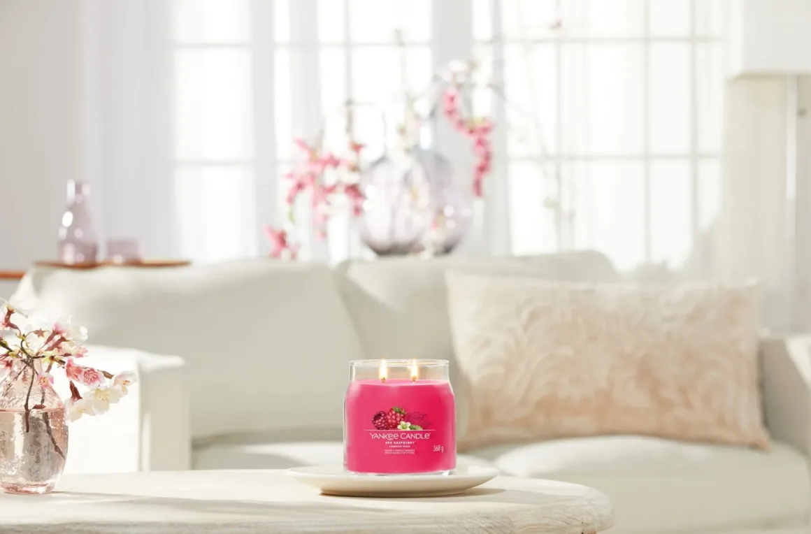 YANKEE CANDLE - GIARA MEDIA 2 STOPPINI RED RASPBERRY: vendita online YANKEE CANDLE - GIARA MEDIA 2 STOPPINI RED RASPBERRY in offerta