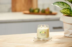 YANKEE CANDLE - GIARA MEDIA 2 STOPPINI ICED BERRY LEMONADE: vendita online YANKEE CANDLE - GIARA MEDIA 2 STOPPINI ICED BERRY LEMONADE in offerta